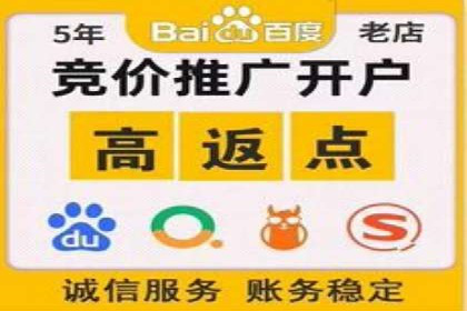 竞价账户优化：成功企业的广告策略揭秘
