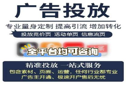 某企业通过百度SEM实现ROI最大化的案例